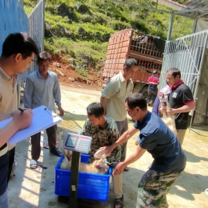 ��������ʹ��һ���������