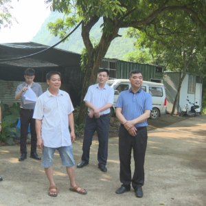 ��ʵЧ ǿʵ�� ץ��ʵح�������������ָ��ͥԺ���÷�չ����