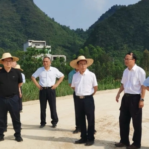 ��ʵЧ ǿʵ�� ץ��ʵح��ʤ�ֳ��칫�ƽ���Ŀ����