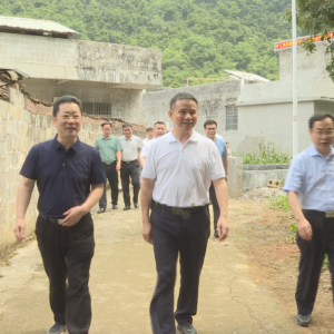 2023��ӳ���ͥԺ���ù��������ڴ󻯡������ٿ�