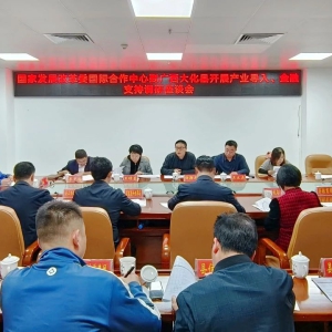 ���ҷ�չ�ĸ�ί���ʺ������ĵ����鵽�󻯵���