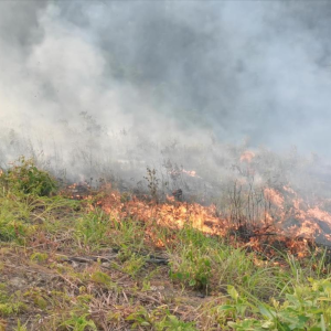 ͻ��ɽ�������������֯��Ա�ɲ������˾�