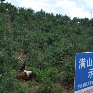 �߽�ɽ�忴��չح������׳����ɫ��ҵ ����Ⱥ�ھ�ҵ