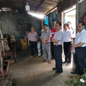 ��ʤ����ͥԺ���úͽ�ͨ��Ŀ�������