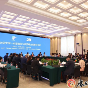 ��20���й�������������Ͷ�ʷ������ٻ����ڱ����ٿ�