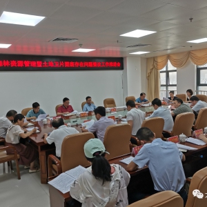 ���ٿ�ɭ����Դ������������Ƭͼ�ߴ����������Ĺ����ƽ���