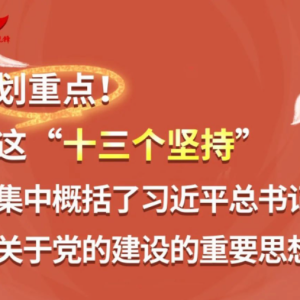 ���ص㣡�⡰ʮ������֡����и�����ϰ��ƽ����ǹ��ڵ��Ľ������Ҫ˼��