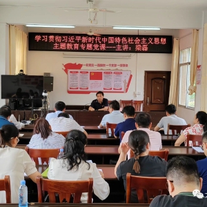 �����ʶӵ��󻯿�չϵ�л