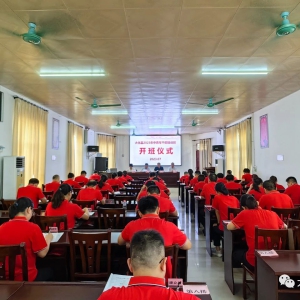 ��2023��������ɲ���ѵ�࿪��