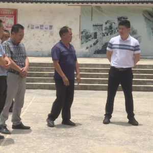 �����б���������ֵ����ŵ��󻯿�չ������˽�԰�����л