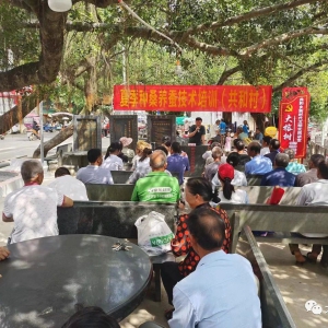 ������������������ح�����磺�����佲�� �������¡������������·���