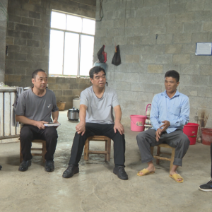 �������ح�����������綽�����������˹���