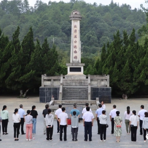 ����ί��ί�쵳֧��������ƾֵ�֧��������ȫ�ݿ�չ���⵳�ջ