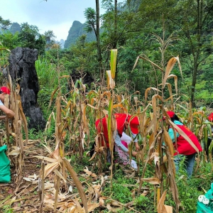 ����ΪȺ�ڰ�ʵ�¡���Ҳ�磺־Ը����ů����