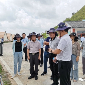 ��ʤ�����ŷþֽӴ�����Ⱥ�ڣ����Ż��⹤��