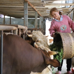 �߽�ɽ�忴��չح�󻯣�ͥԺ��С���á��˶���塰�����ˡ�