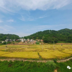 Ǽ���磺����е�ո�æ �ļ�ˮ�������