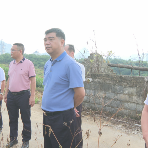 ����������ػ�����ˮ��ɽ����������