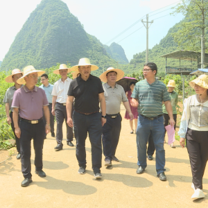 �����������������鵽�󻯿�չר�����