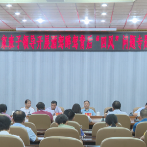 ���������ļҰ����쵼��չ�Ƽ����ݱ����ķ硱����ר��̸��̸����