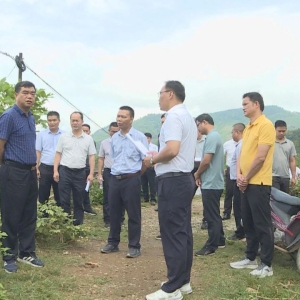 ������Ǽ���翪չ�����Դ�������к�������˶�����鹤��