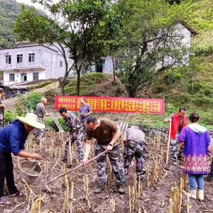 �����ֳ���֧���������� �ͷ��� ��ũ����