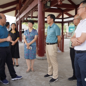 ��������Э�����鵽�󻯿�չ����̬������Ŀ�������ƹ㡱������й���