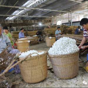 �߽�ɽ�忴��չح��Ҳ�磺Сɣ���³��¸���˿·��