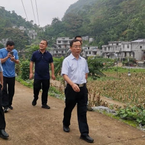 ��ʤ�������糢÷���뻧�߷õ���