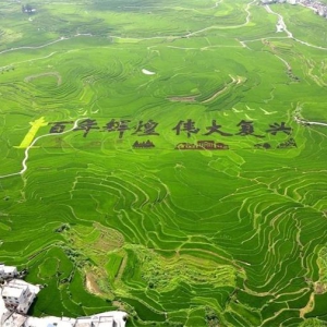 �����������ر��������㣩���϶�Ϊ����������ũҵ��ҵǿ��