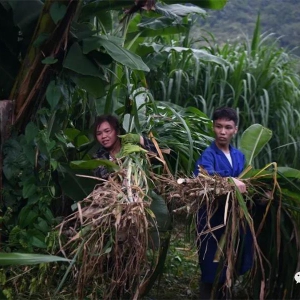 �������|ũ�ҡ�СͥԺ������������԰�����������󻯷�չͥԺ���������������