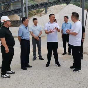 ��Ԫ�����󻯿�չ���й���