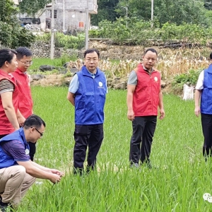 ��ʤ������չѲ��Ѳ��Ѳ�ֹ���