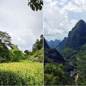 ������� ���������ΰ�壺����ڡ�����ҵ����Ⱥ�ڡ����ſڡ�����