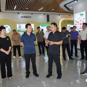 ��������Э�����鵽�󻯵���