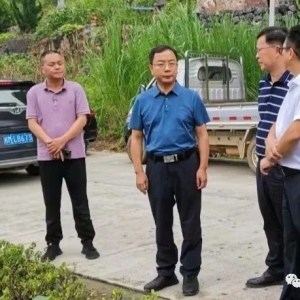 ��ʤ���ж�����ͨ��Ŀ����