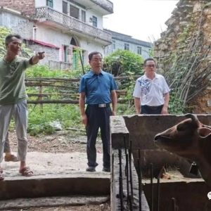 ��ʤ���й�����չ��ƶ����ɹ�ͬ���������Ч�νӹ���