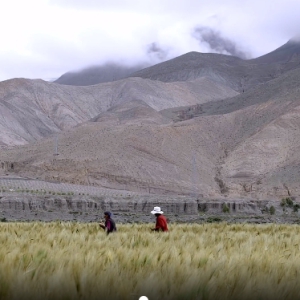 2023������½����ͨ���������������������Ʒչ�� | ��ÿһ����ʳ��Ӧ�ñ���ϧ��