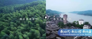 2023������½����ͨ���������������������Ʒչ�� | ����������������������� ...