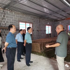 ��ʤ�����������������˹���