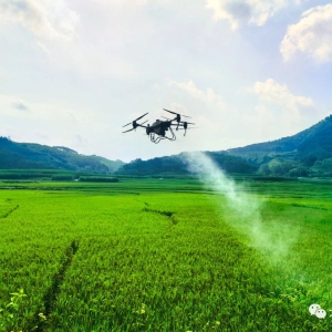 �󻯣� ��ץũʱ��һ���١� ����������������