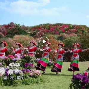 2023������½����ͨ���������������������Ʒչ�� | ��������£������껪��