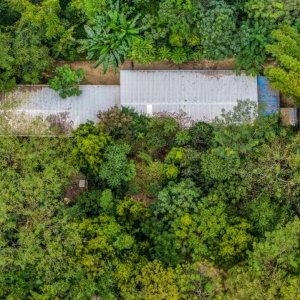 ��ƶ����حΤ���ң���չ������ֳ ����ƶ�¸�·