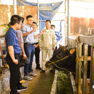 �й�ũҵ��ѧר���鵽�󻯵���