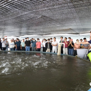 ��������ح�󻯣����á��������� ���조�����¡�