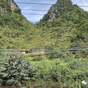 ��ʱ���������̡���ΰҵح�󻯣���һֻ�����̾�һ����ҵ