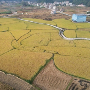 �������ڴ壺����ˮ���ᾰ����ϲ