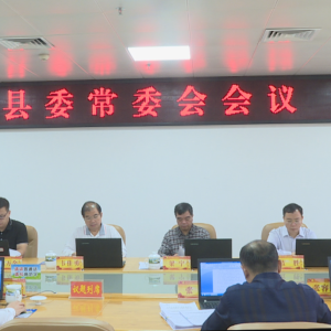 ���������ٿ���ί��ί�����