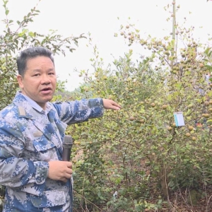 ���ٿ�2023���Ͳ�����ⶨ���Ͳ��ʹ������ֳ���ѵ��