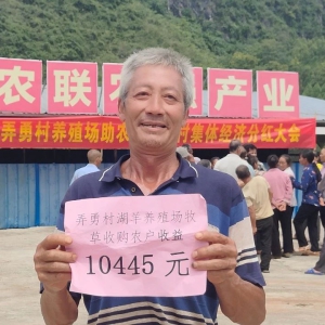 ������� ��������Ū�´�245��ũ��ϲ��弯�徭�á�������